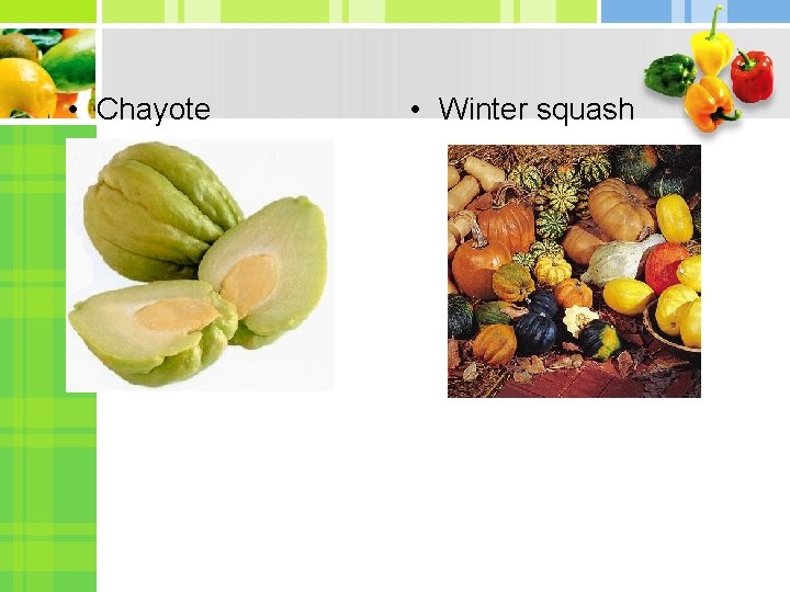  • Chayote • Winter squash 