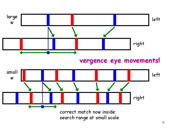 large w left right vergence eye movements! small w left right correct match now