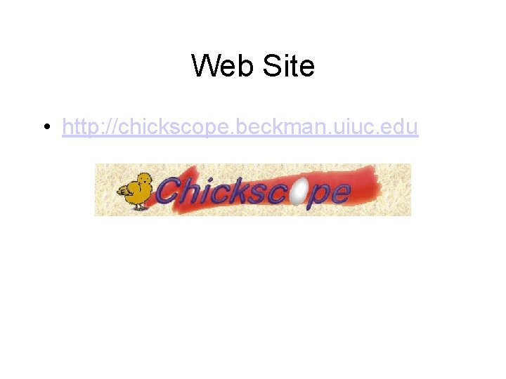 Web Site • http: //chickscope. beckman. uiuc. edu 