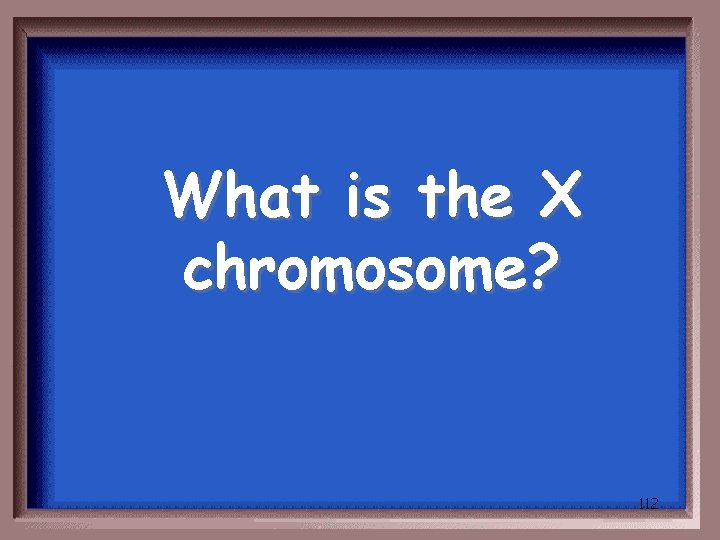 What is the X chromosome? 112 
