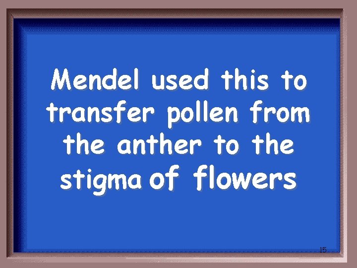 Mendel used this to transfer pollen from the anther to the stigma of flowers