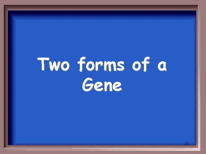 Two forms of a Gene 19 