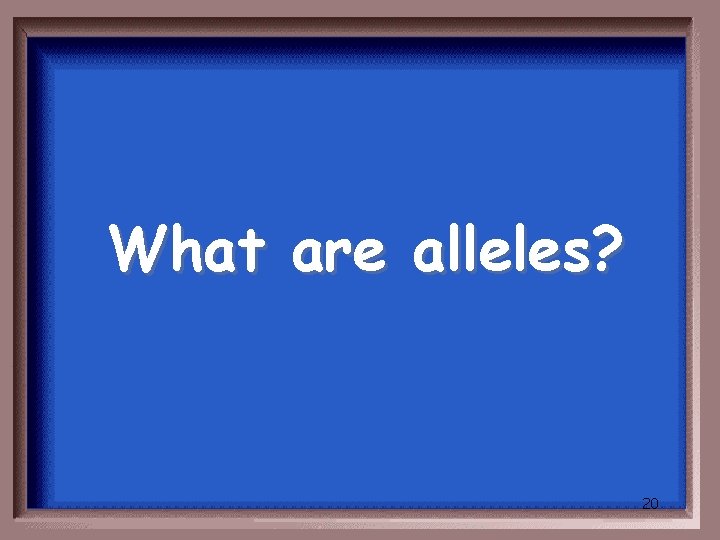 What are alleles? 20 