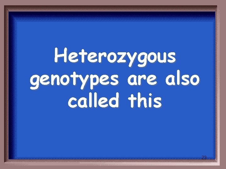 Heterozygous genotypes are also called this 23 