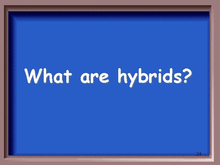 What are hybrids? 24 
