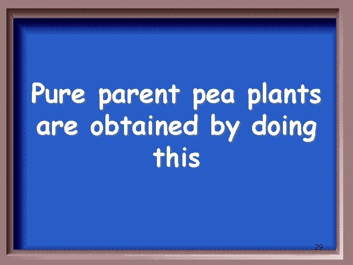 Pure parent pea plants are obtained by doing this 29 