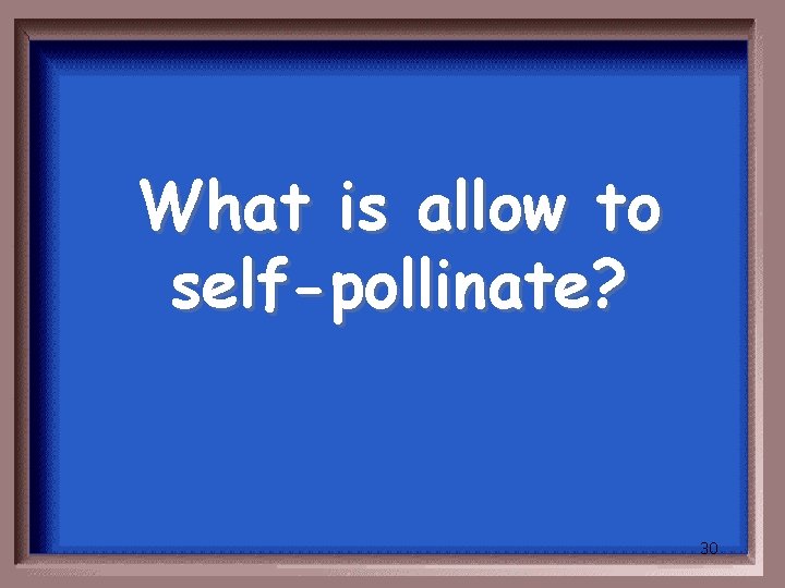 What is allow to self-pollinate? 30 