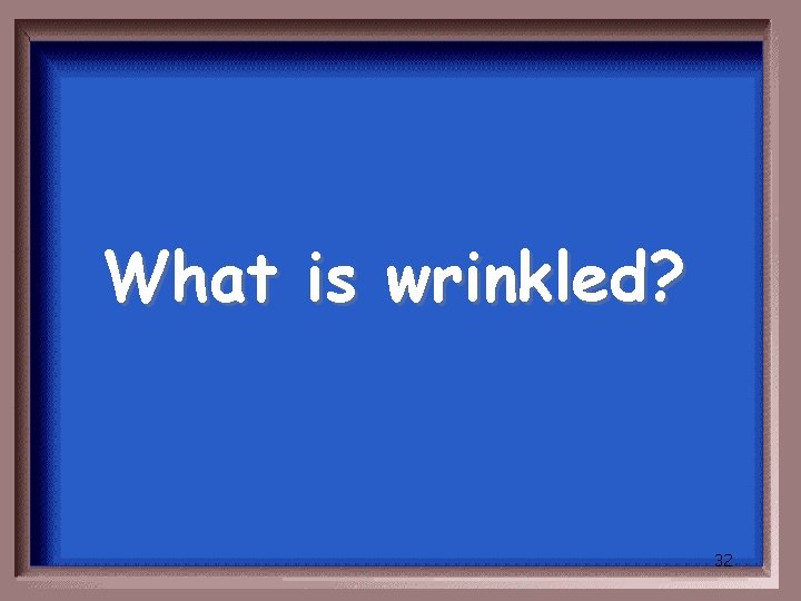 What is wrinkled? 32 