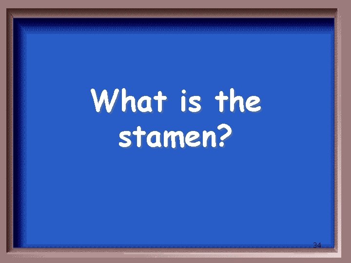 What is the stamen? 34 