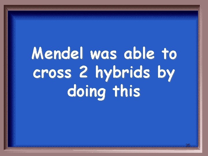 Mendel was able to cross 2 hybrids by doing this 35 