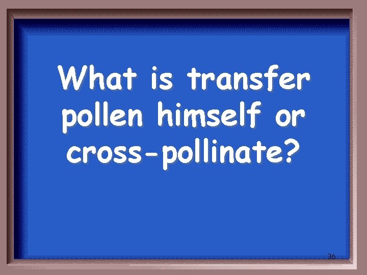 What is transfer pollen himself or cross-pollinate? 36 