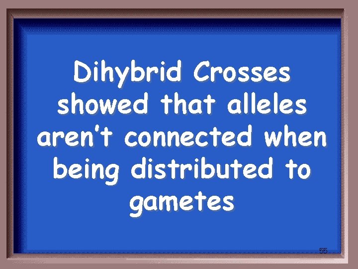 Dihybrid Crosses showed that alleles aren’t connected when being distributed to gametes 55 
