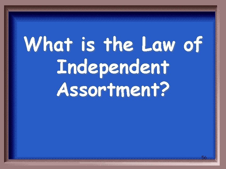 What is the Law of Independent Assortment? 56 