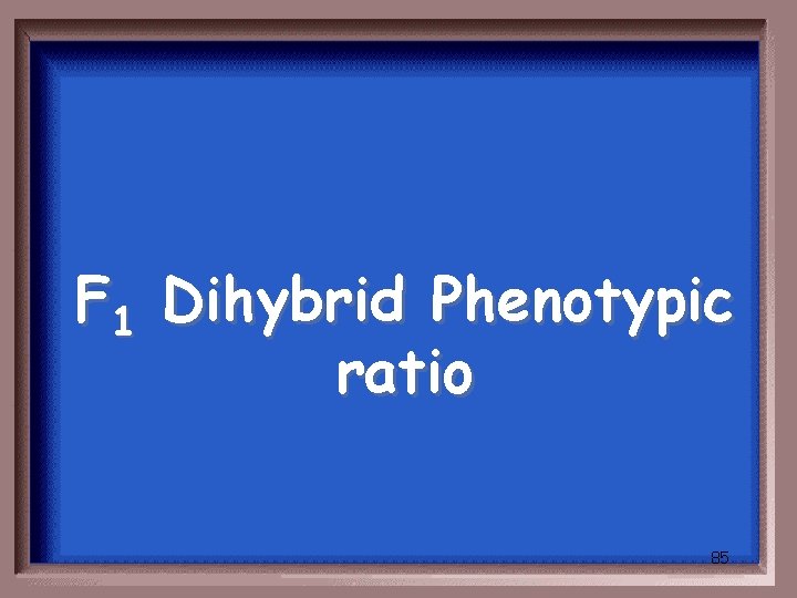 F 1 Dihybrid Phenotypic ratio 85 