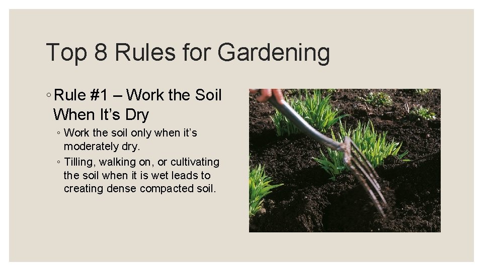 Top 8 Rules for Gardening ◦ Rule #1 – Work the Soil When It’s