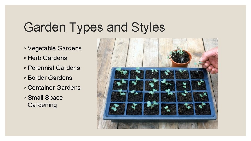 Garden Types and Styles ◦ Vegetable Gardens ◦ Herb Gardens ◦ Perennial Gardens ◦