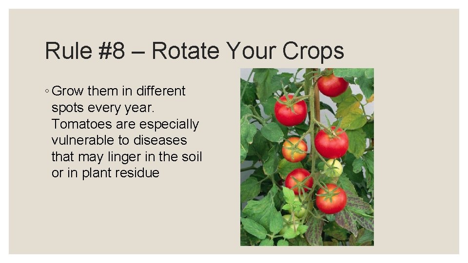Rule #8 – Rotate Your Crops ◦ Grow them in different spots every year.