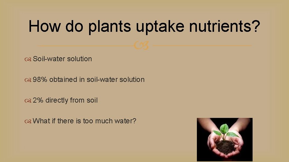 How do plants uptake nutrients? Soil-water solution 98% obtained in soil-water solution 2% directly