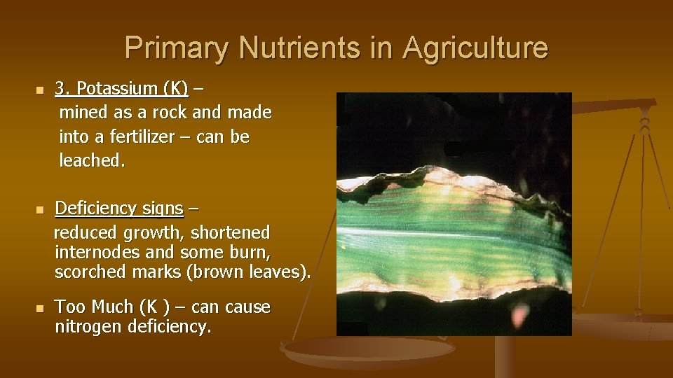 Primary Nutrients in Agriculture n n n 3. Potassium (K) – mined as a