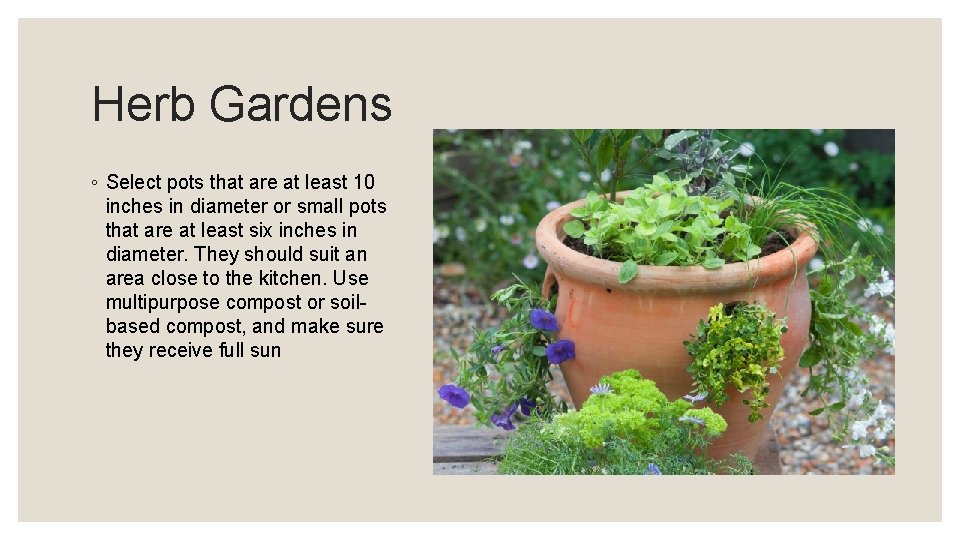 Herb Gardens ◦ Select pots that are at least 10 inches in diameter or