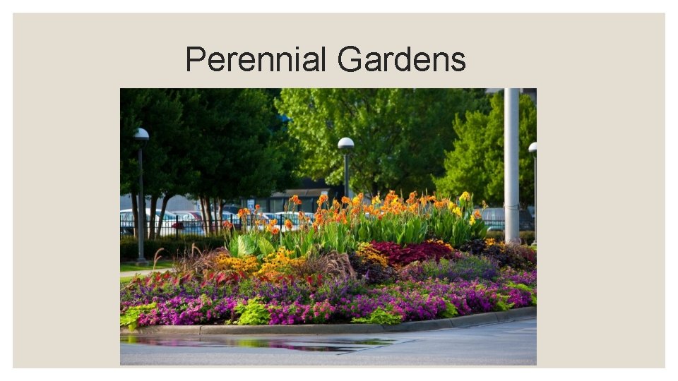 Perennial Gardens 