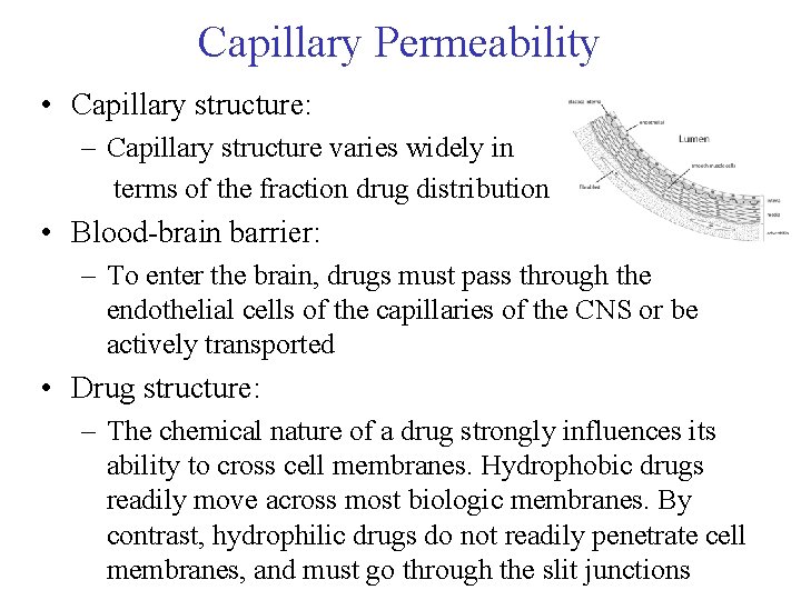 Capillary Permeability • Capillary structure: – Capillary structure varies widely in terms of the