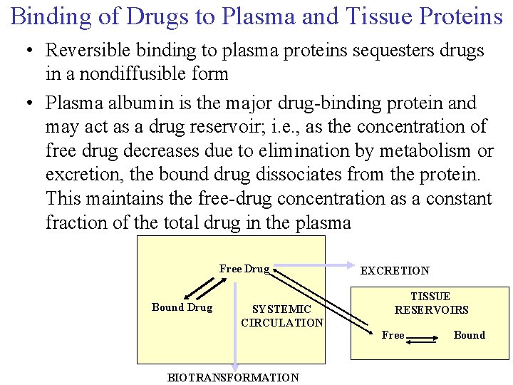 Binding of Drugs to Plasma and Tissue Proteins • Reversible binding to plasma proteins