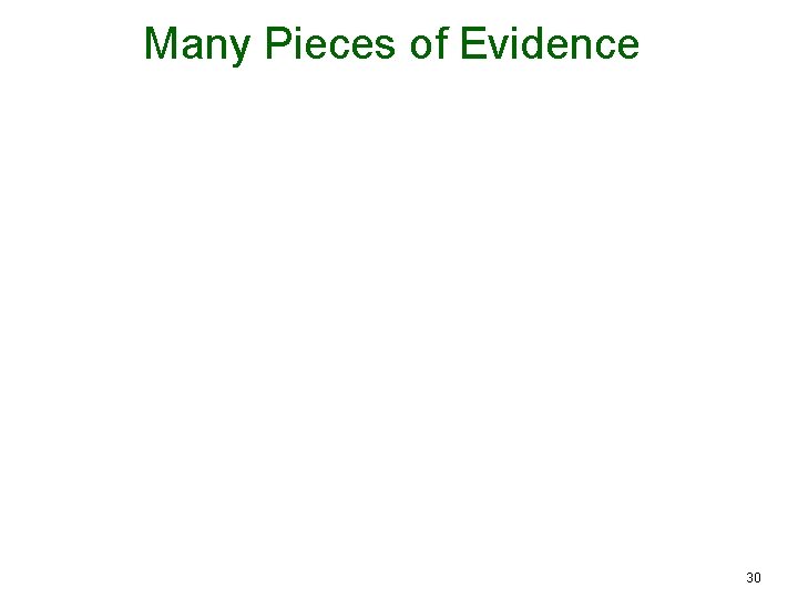 Many Pieces of Evidence 30 