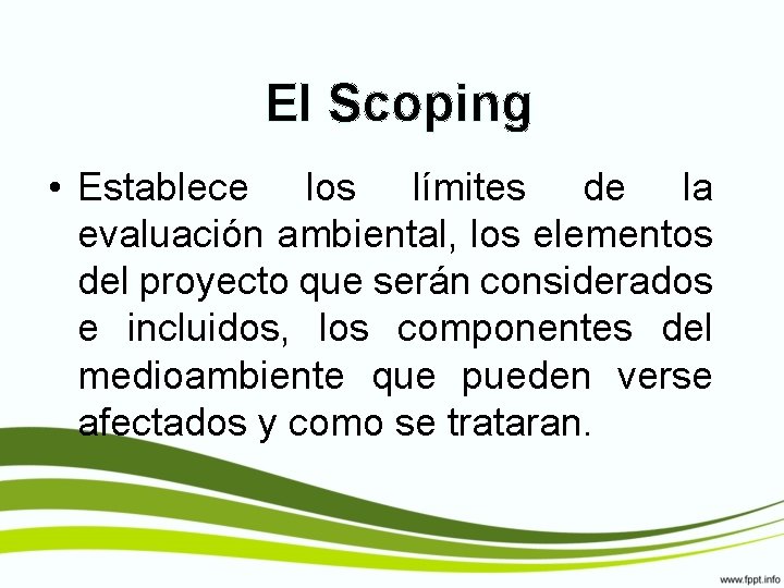 El Scoping • Establece los límites de la evaluación ambiental, los elementos del proyecto