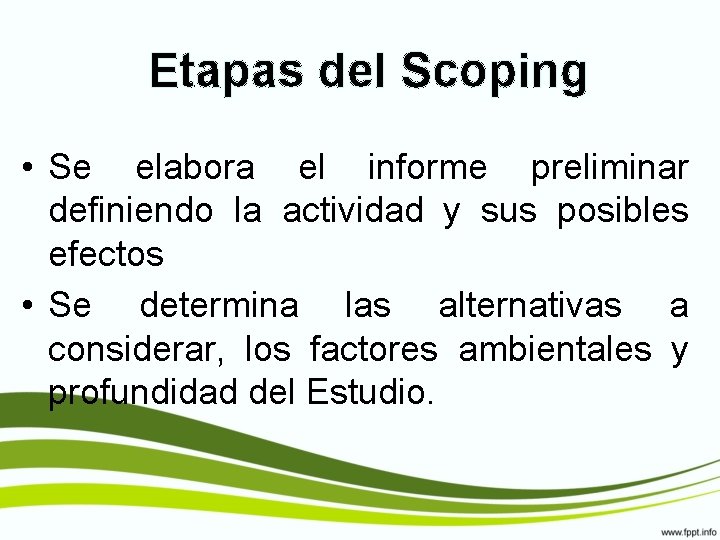 Etapas del Scoping • Se elabora el informe preliminar definiendo la actividad y sus