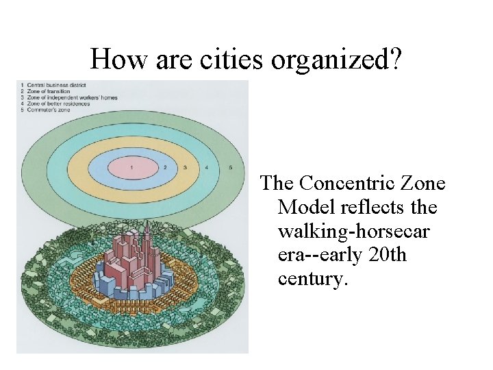 How are cities organized? The Concentric Zone Model reflects the walking-horsecar era--early 20 th