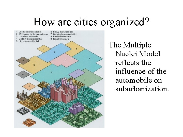 How are cities organized? The Multiple Nuclei Model reflects the influence of the automobile
