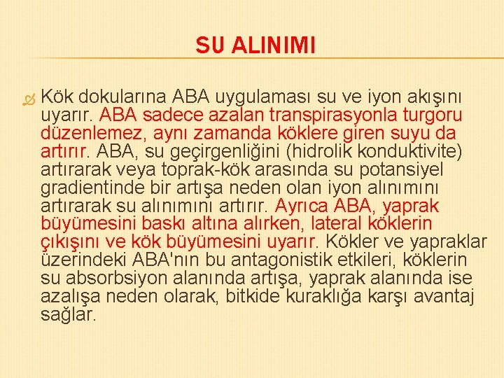 SU ALINIMI Kök dokularına ABA uygulaması su ve iyon akışını uyarır. ABA sadece azalan