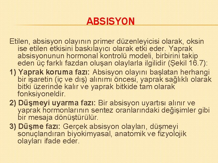 ABSISYON Etilen, absisyon olayının primer düzenleyicisi olarak, oksin ise etilen etkisini baskılayıcı olarak etki