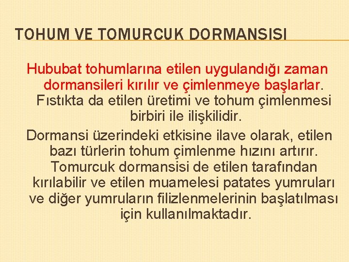 TOHUM VE TOMURCUK DORMANSISI Hububat tohumlarına etilen uygulandığı zaman dormansileri kırılır ve çimlenmeye başlarlar.