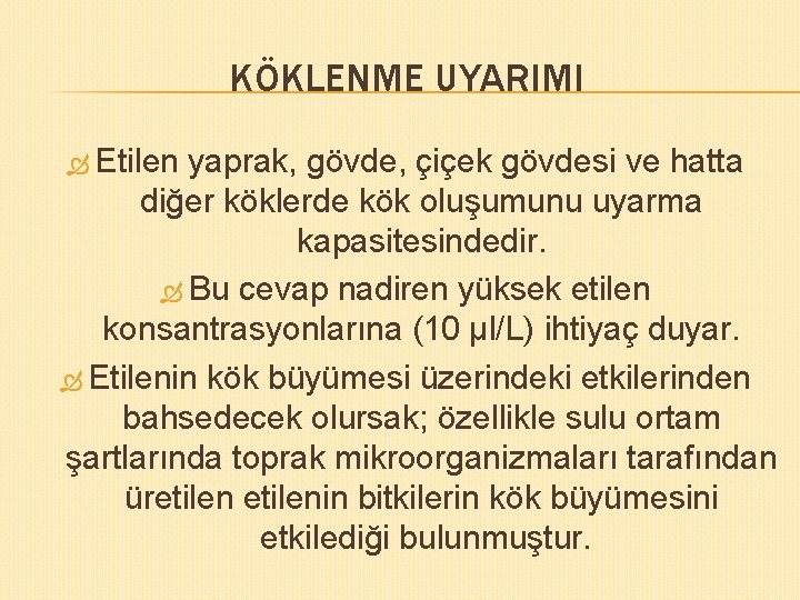 KÖKLENME UYARIMI Etilen yaprak, gövde, çiçek gövdesi ve hatta diğer köklerde kök oluşumunu uyarma