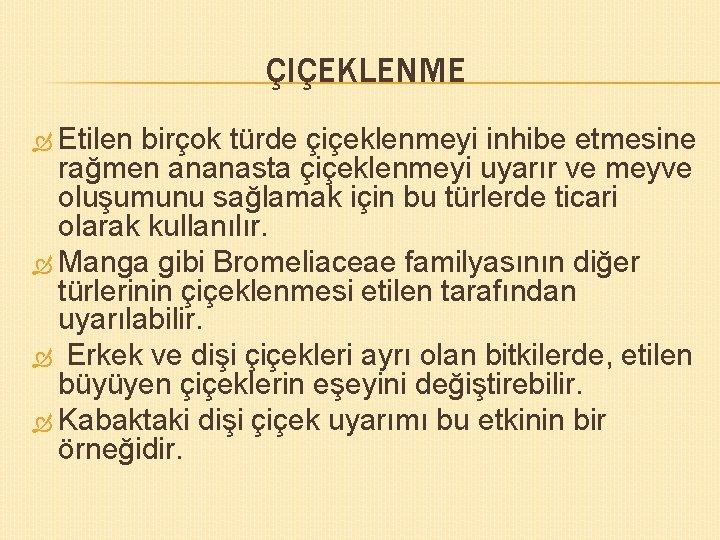 ÇIÇEKLENME Etilen birçok türde çiçeklenmeyi inhibe etmesine rağmen ananasta çiçeklenmeyi uyarır ve meyve oluşumunu