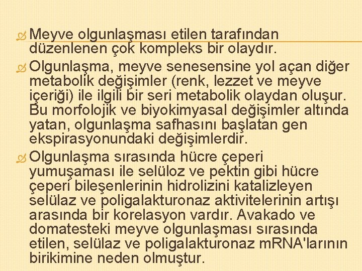  Meyve olgunlaşması etilen tarafından düzenlenen çok kompleks bir olaydır. Olgunlaşma, meyve senesensine yol