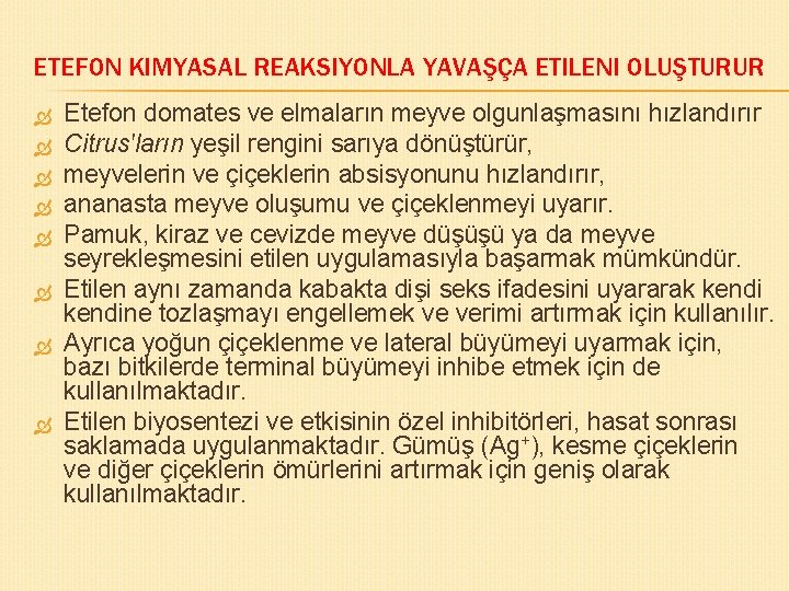 ETEFON KIMYASAL REAKSIYONLA YAVAŞÇA ETILENI OLUŞTURUR Etefon domates ve elmaların meyve olgunlaşmasını hızlandırır Citrus'ların