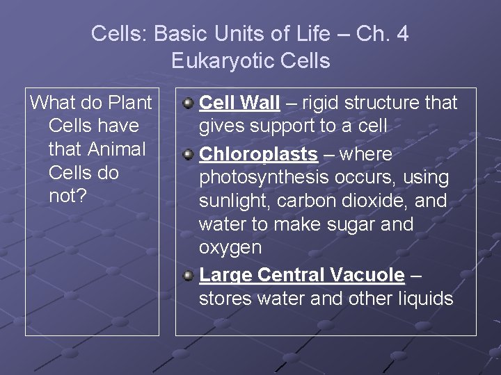 Cells: Basic Units of Life – Ch. 4 Eukaryotic Cells What do Plant Cells