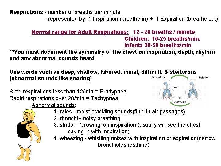 Respirations - number of breaths per minute -represented by 1 Inspiration (breathe in) +