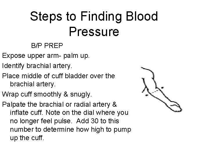 Steps to Finding Blood Pressure B/P PREP Expose upper arm- palm up. Identify brachial