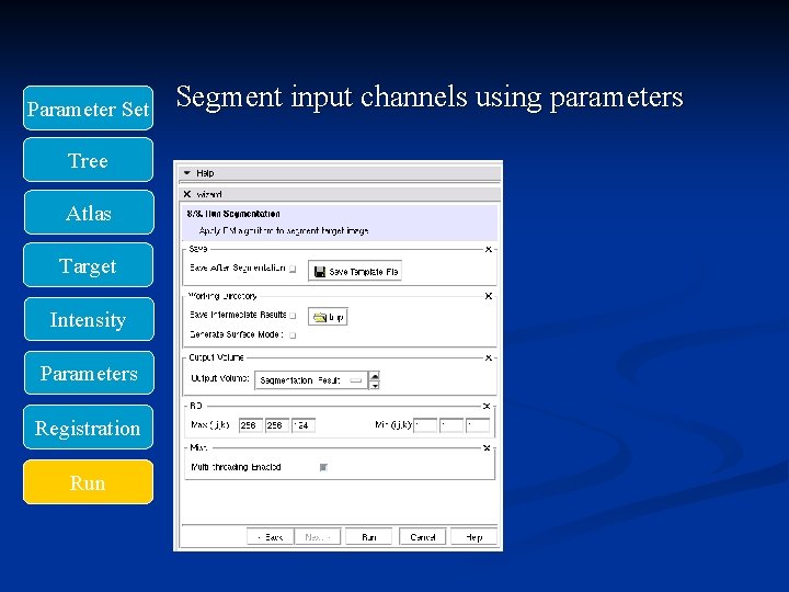 Parameter Set Tree Atlas Target Intensity Parameters Registration Run Segment input channels using parameters