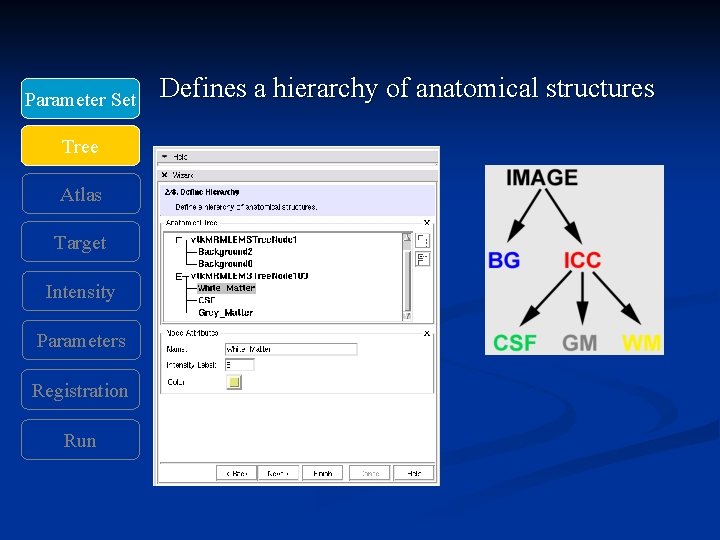 Parameter Set Tree Atlas Target Intensity Parameters Registration Run Defines a hierarchy of anatomical