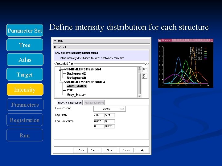 Parameter Set Tree Atlas Target Intensity Parameters Registration Run Define intensity distribution for each