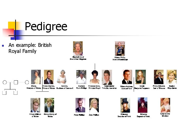 Pedigree n An example: British Royal Family 