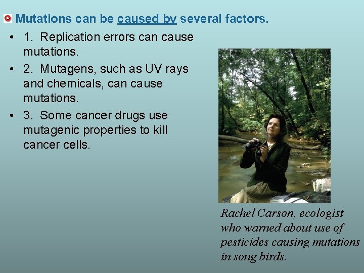 Mutations can be caused by several factors. • 1. Replication errors can cause mutations.