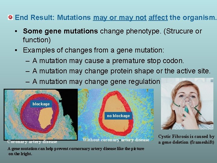 End Result: Mutations may or may not affect the organism. • Some gene mutations