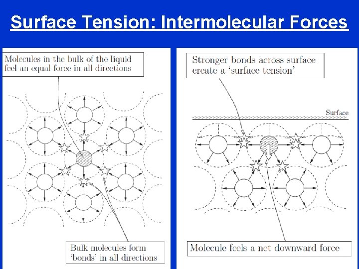 Surface Tension: Intermolecular Forces 