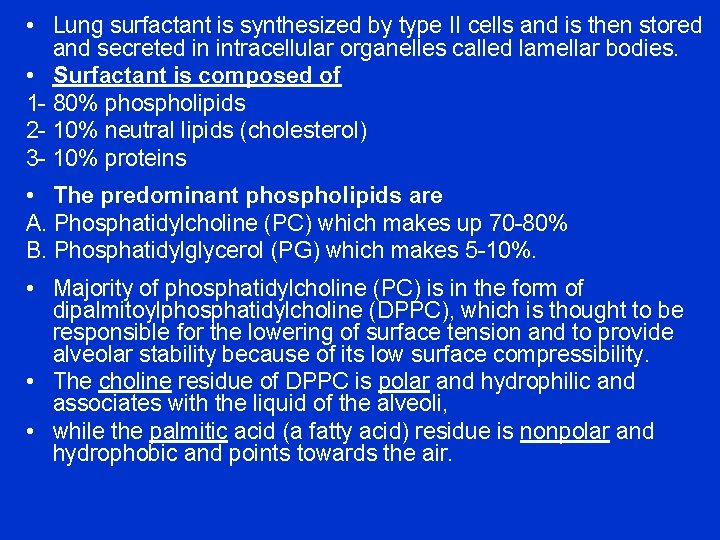  • Lung surfactant is synthesized by type II cells and is then stored